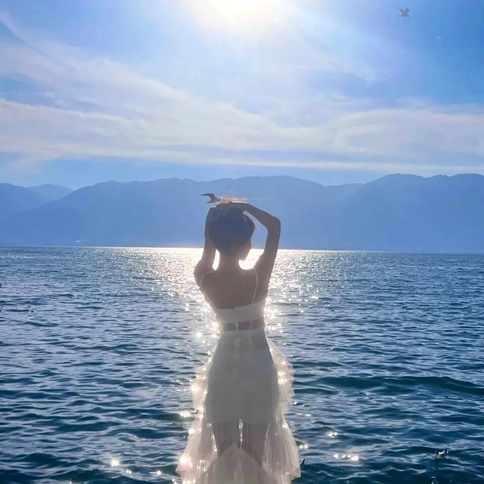好莱坞骑士